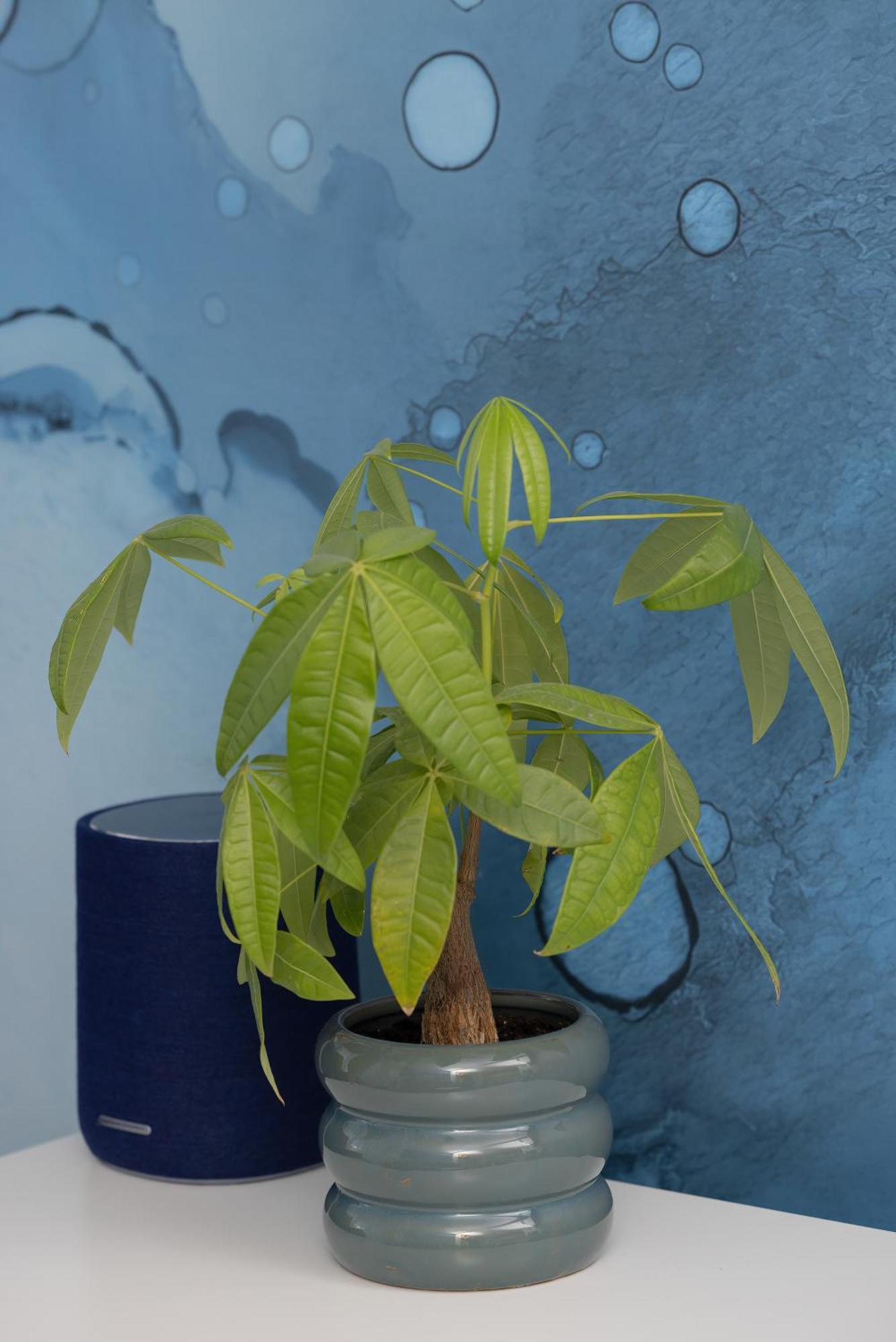 Blue Paradise - Basen - Spa- Sauna - Parking Apartment